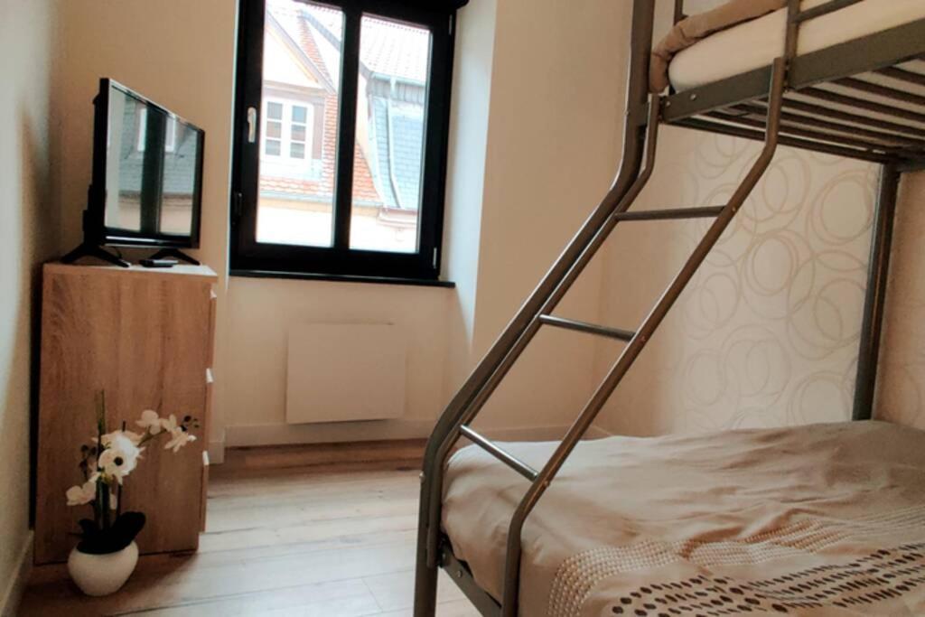 Le Cygne, Appartement De Standing En Hyper-Centre Sarreguemines Bagian luar foto
