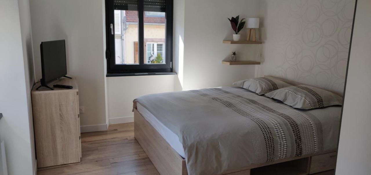 Le Cygne, Appartement De Standing En Hyper-Centre Sarreguemines Bagian luar foto