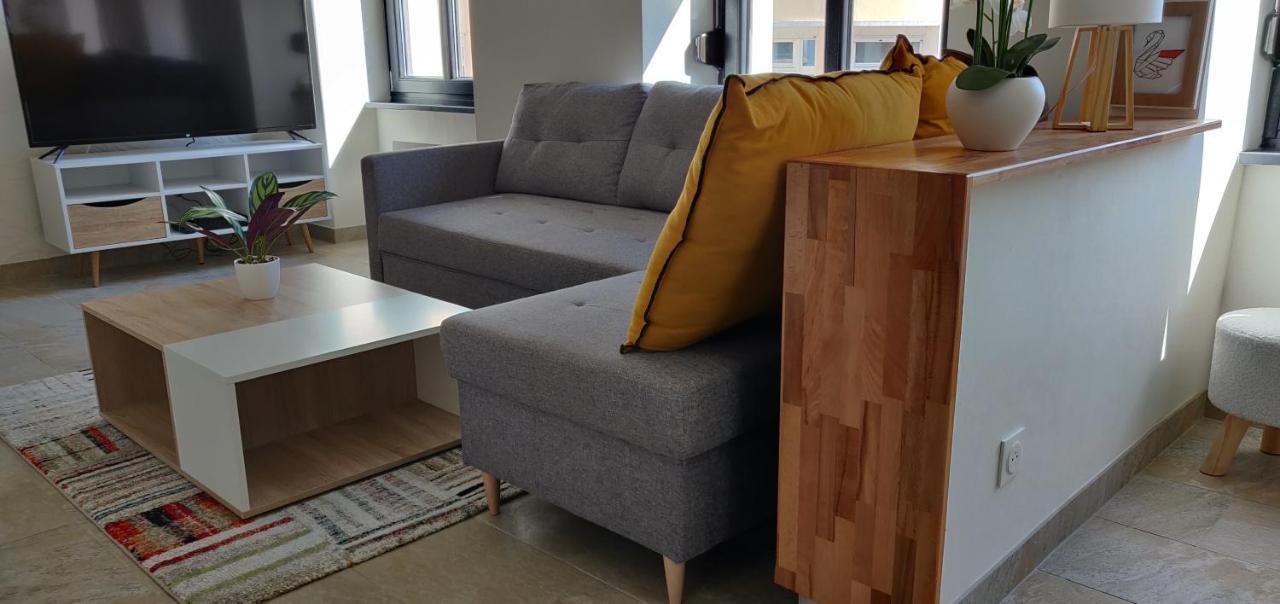Le Cygne, Appartement De Standing En Hyper-Centre Sarreguemines Bagian luar foto