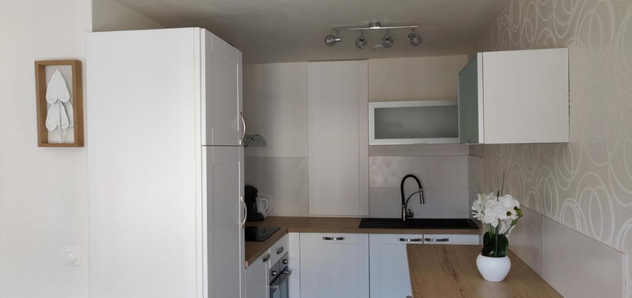 Le Cygne, Appartement De Standing En Hyper-Centre Sarreguemines Bagian luar foto