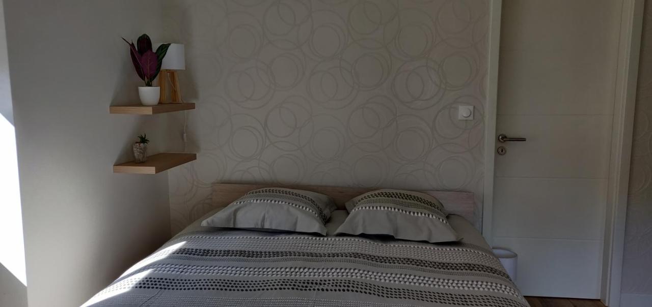 Le Cygne, Appartement De Standing En Hyper-Centre Sarreguemines Bagian luar foto