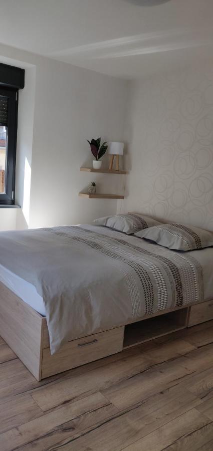 Le Cygne, Appartement De Standing En Hyper-Centre Sarreguemines Bagian luar foto